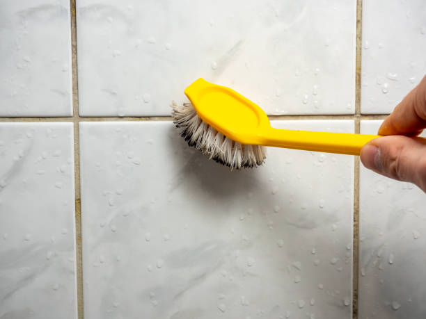 Best Mold Remediation  in Bluff City, TN