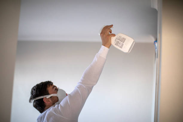 Best Professional Mold Removal  in Bluff City, TN
